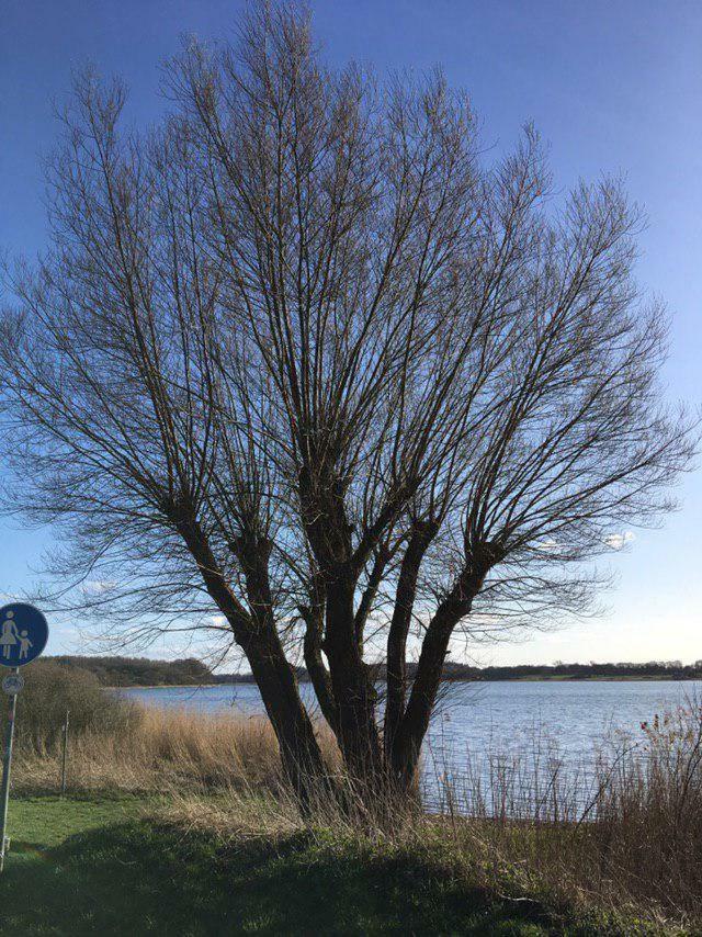 Ferienwohnung Am Noor Nahe Schleswig Und Dem Wikingerdorf Haithabu Fahrdorf  Luaran gambar